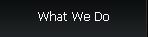 What We Do